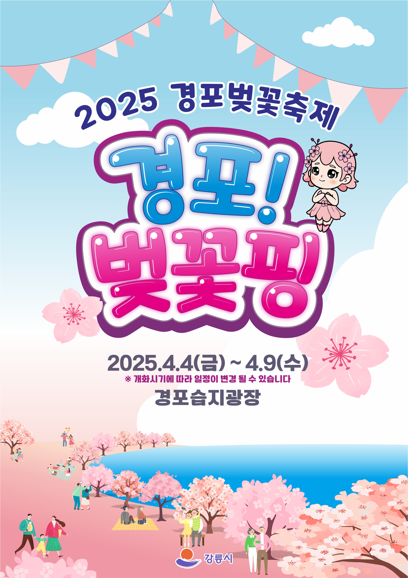 경포 벚꽃 축제 벚꽃핑