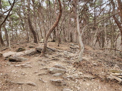 중간 코스