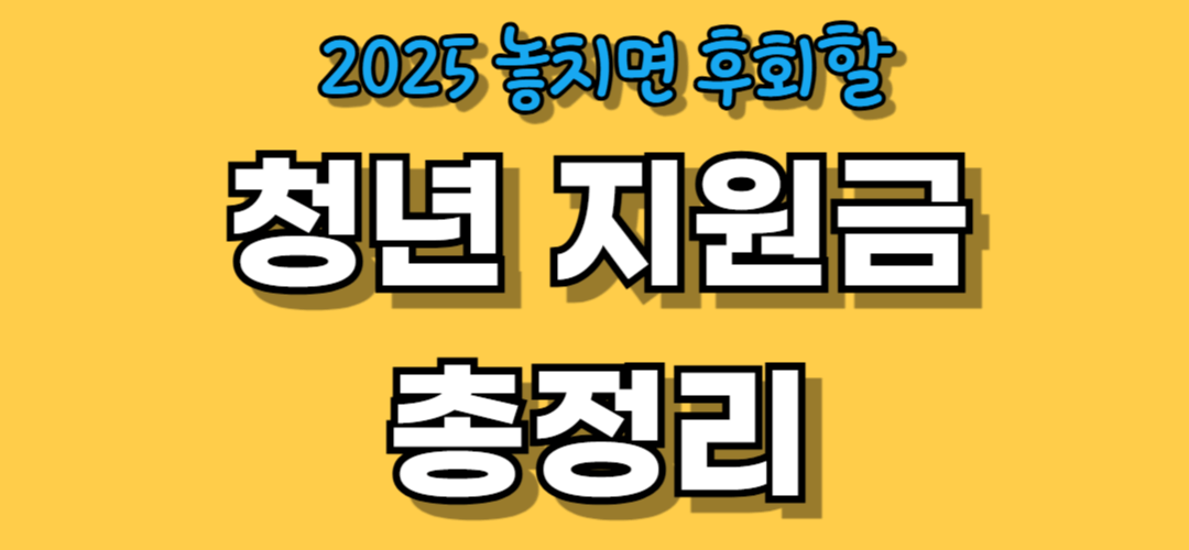 청년 지원금