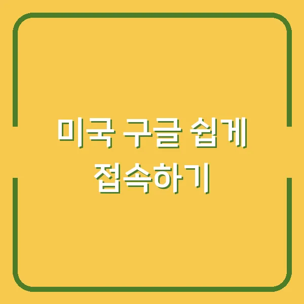 미국 구글 쉽게 접속하기