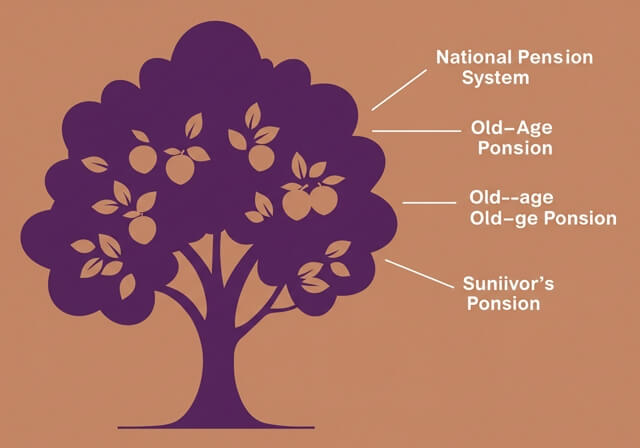 노령연금과 국민연금 차이