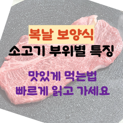 초복 날짜