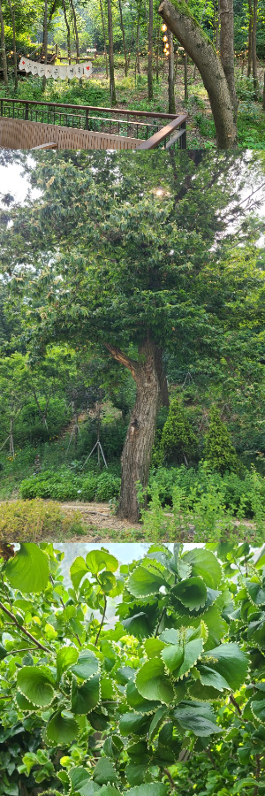 영흥_수목원_사진들