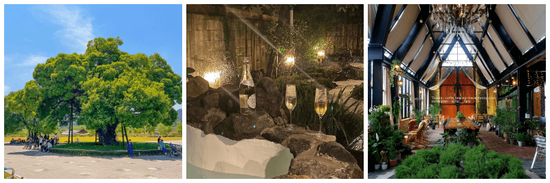 성밖숲&#44; 루오 스테이&#44; 인송쥬 사진