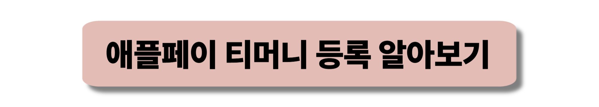 신한카드 애플페이 등록방법