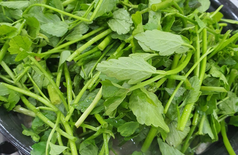 수북히-쌓여있는-생미나리