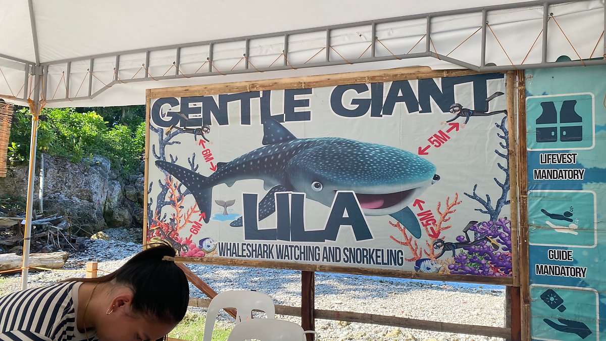 필리핀 보홀 자유여행 필수 투어 코스 : 액티비티 여행 코스