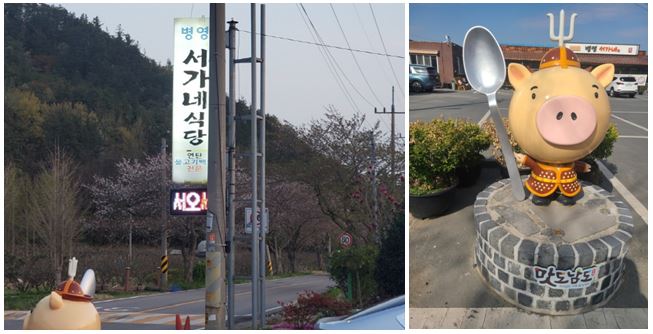 전라남도 강진병영 서가네 식당 입구 세로 간판과 입구 돼지 마스코드입니다.