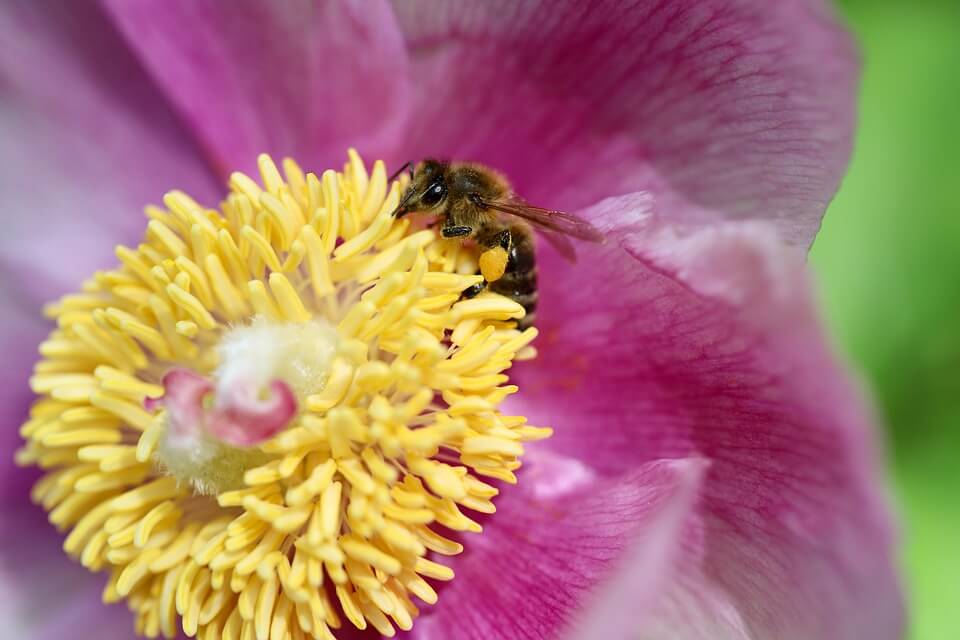 마스크 올바른 착용법