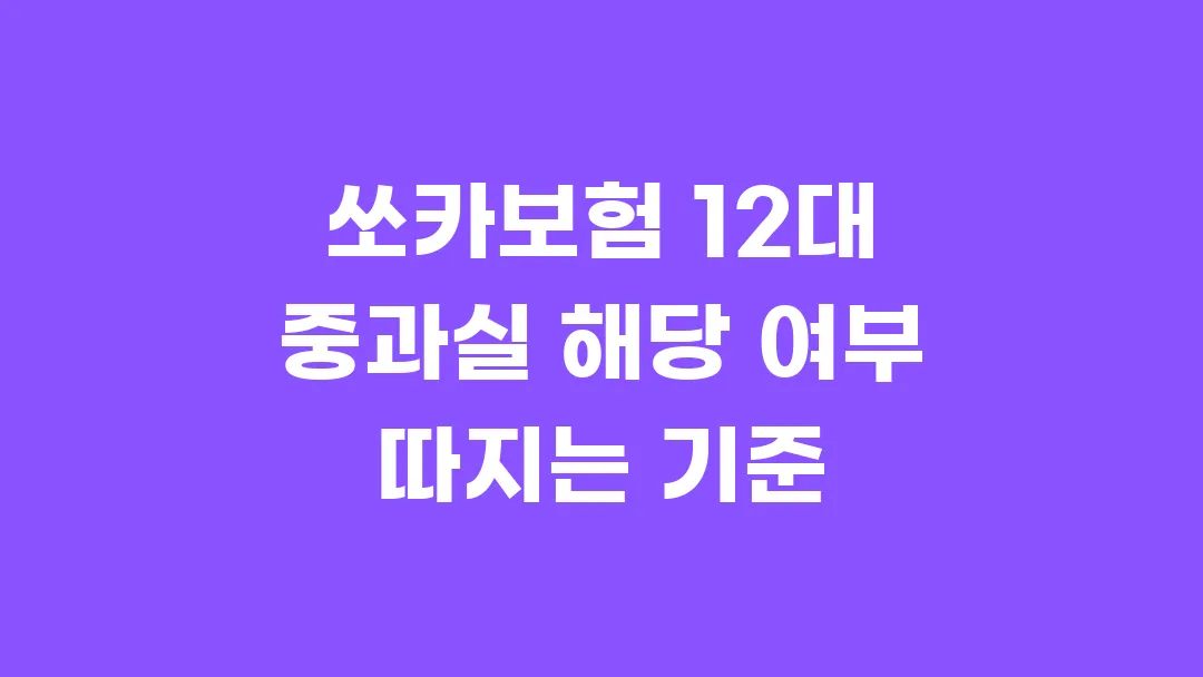 쏘카보험 12대 중과실 해당 여부 따지는 기준