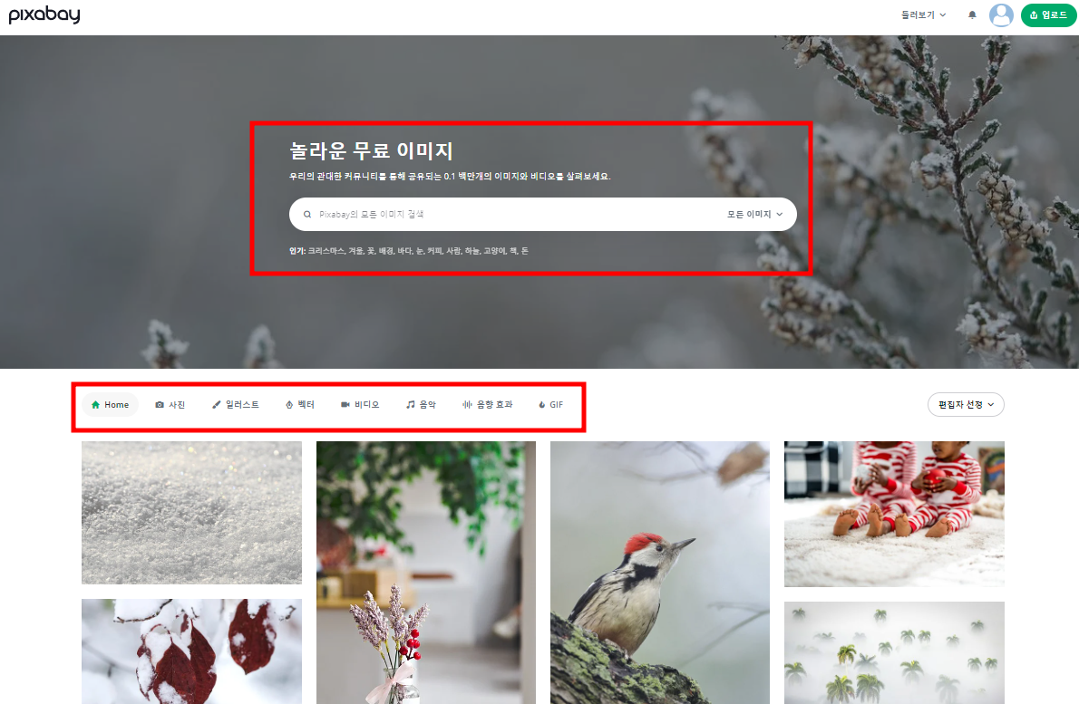 픽사베이 이미지찾기