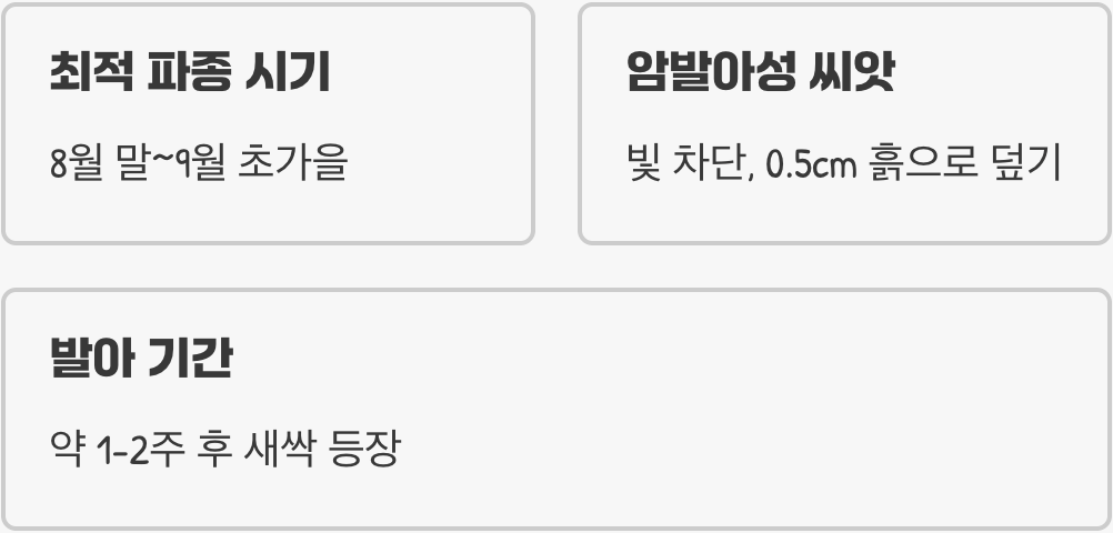 가을에 심는 봄의 약속&amp;#44; 파종의 지혜