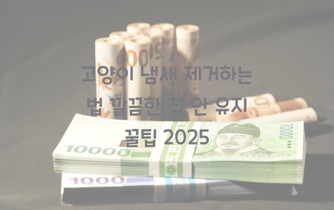 고양이 냄새 제거하는 법, 집 안을 깨끗하게 유지하는 꿀팁