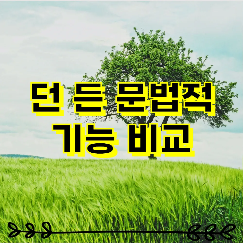 던 든 문법적 기능 비교