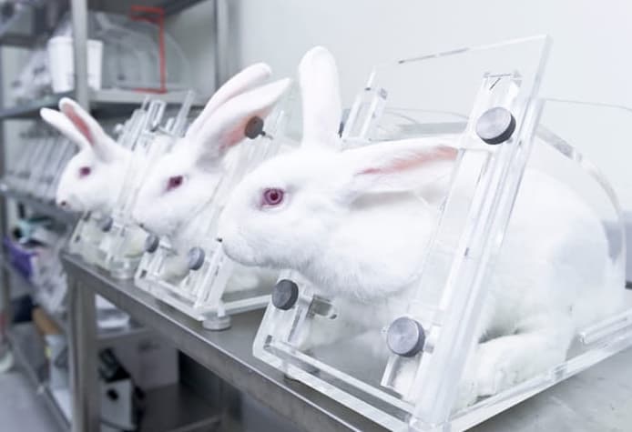 보이지 않는 고통, 말 없는 저항