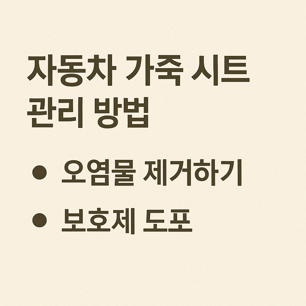 자동차 가죽 시트 관리 요령 완전정복! 오래가는 실내 관리 비법