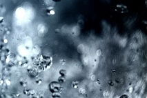 물 대신 넣어 마시면