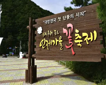 인제 가을꽃축제_24