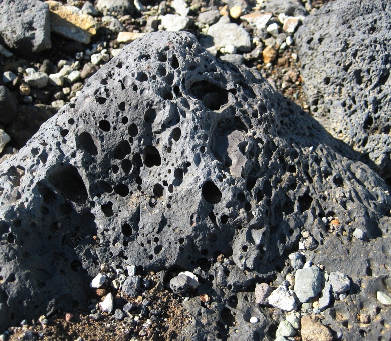 골다공증 연상 이미지