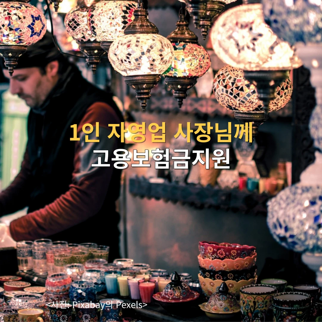 고용보험지원