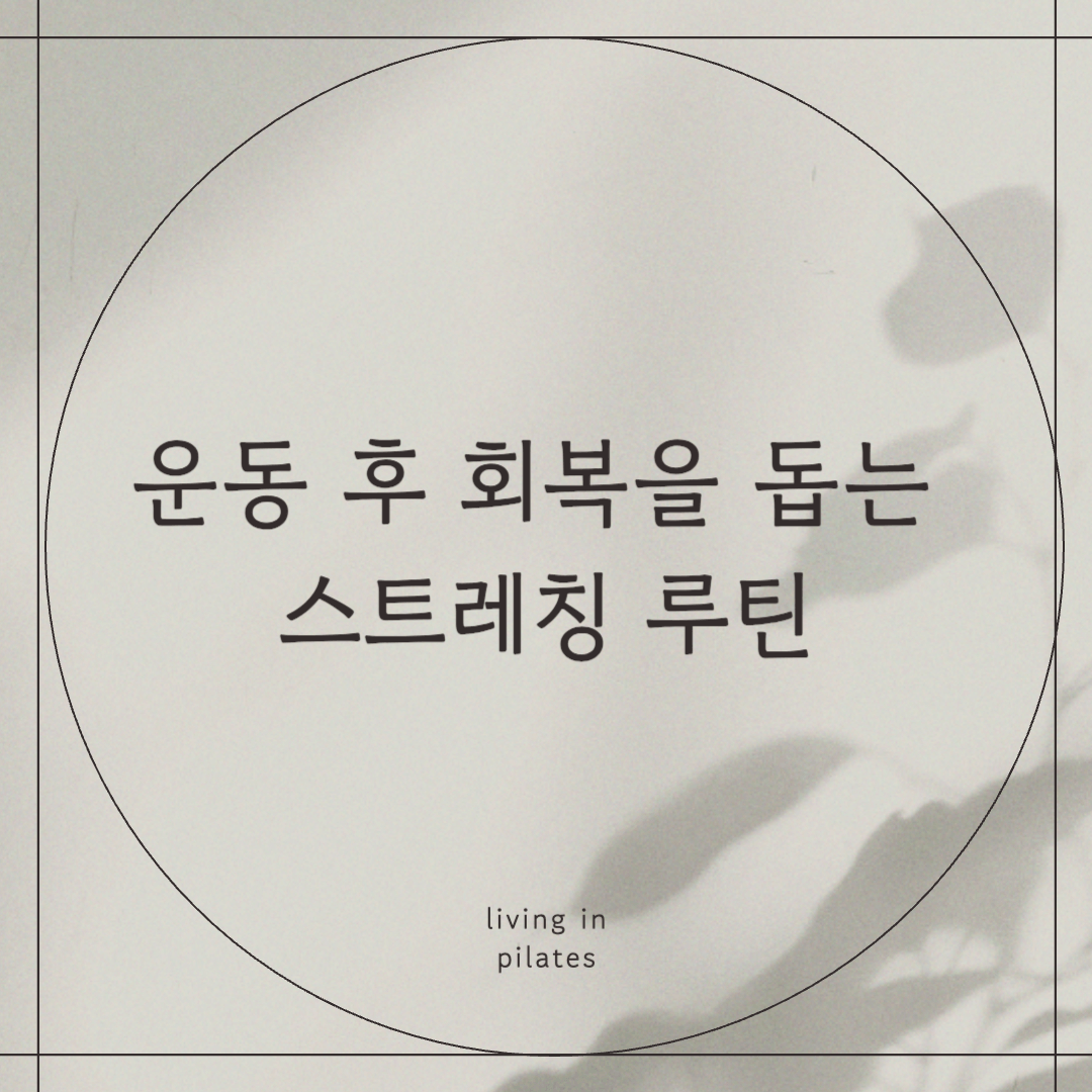 운동 후 회복을 돕는 스트레칭 루틴