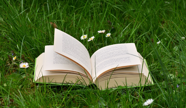 들판에 있는 책 사진