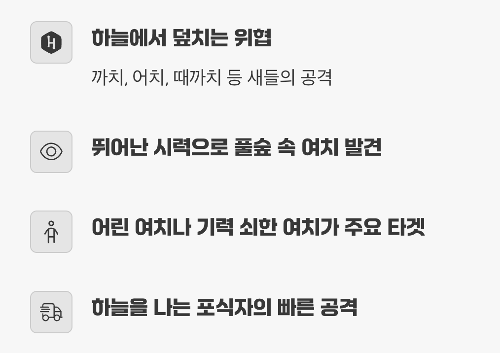 하늘에서 덮치는 위협