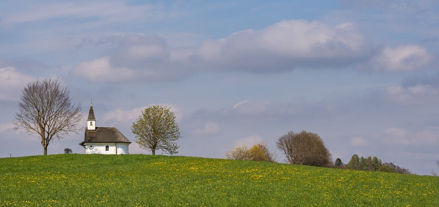 리얼티인컴 주가 전망 관련 사진
