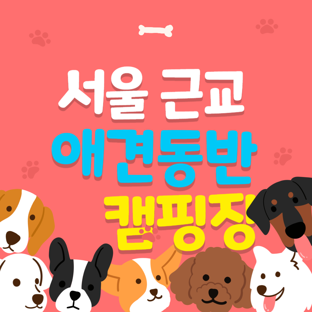 서울 근교 애견동반 캠핑장 모음