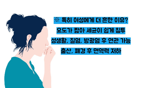 신우신염 증상