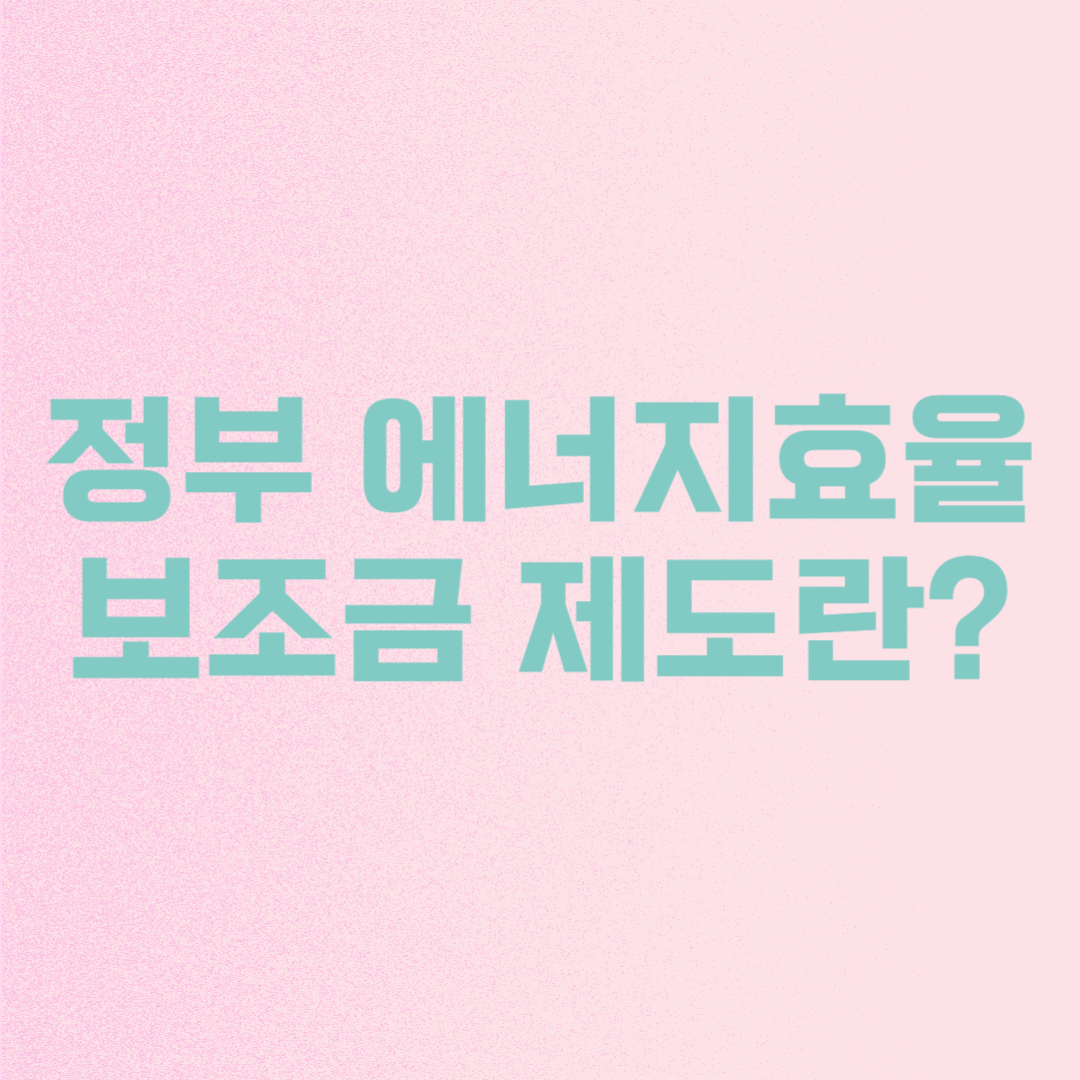 정부 에너지효율 보조금 제도란?