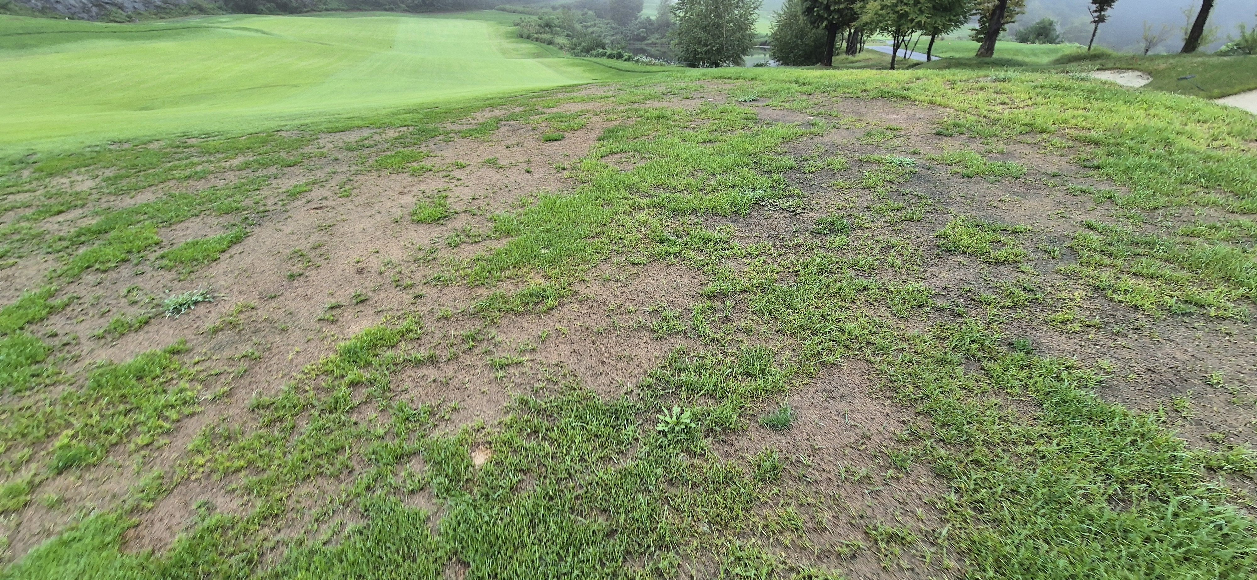 더플레이어스cc