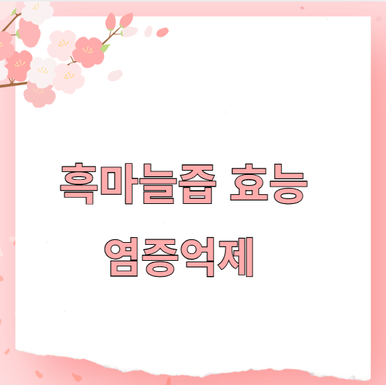 흑마늘즙 효능 염증억제