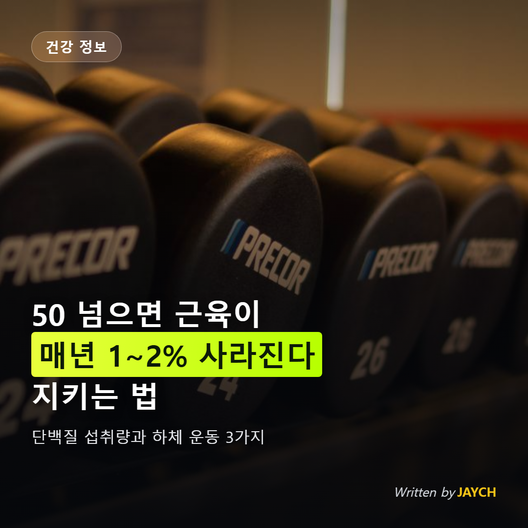 근감소증 예방 썸네일 - 헬스장 덤벨 진열대