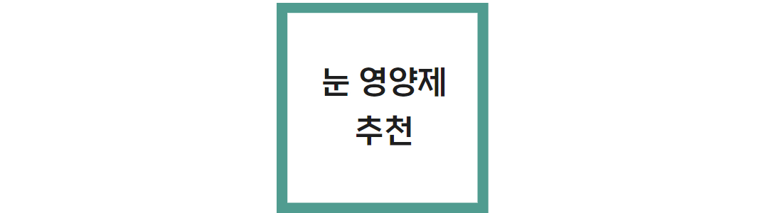 눈 영양제 추천