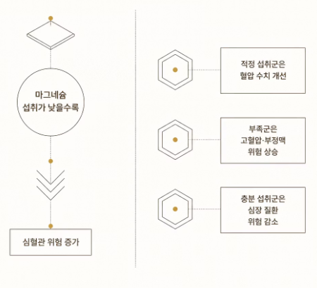 마그네슘 효능