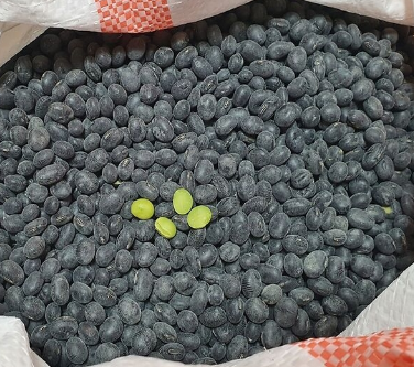 이랑농장 서리태콩