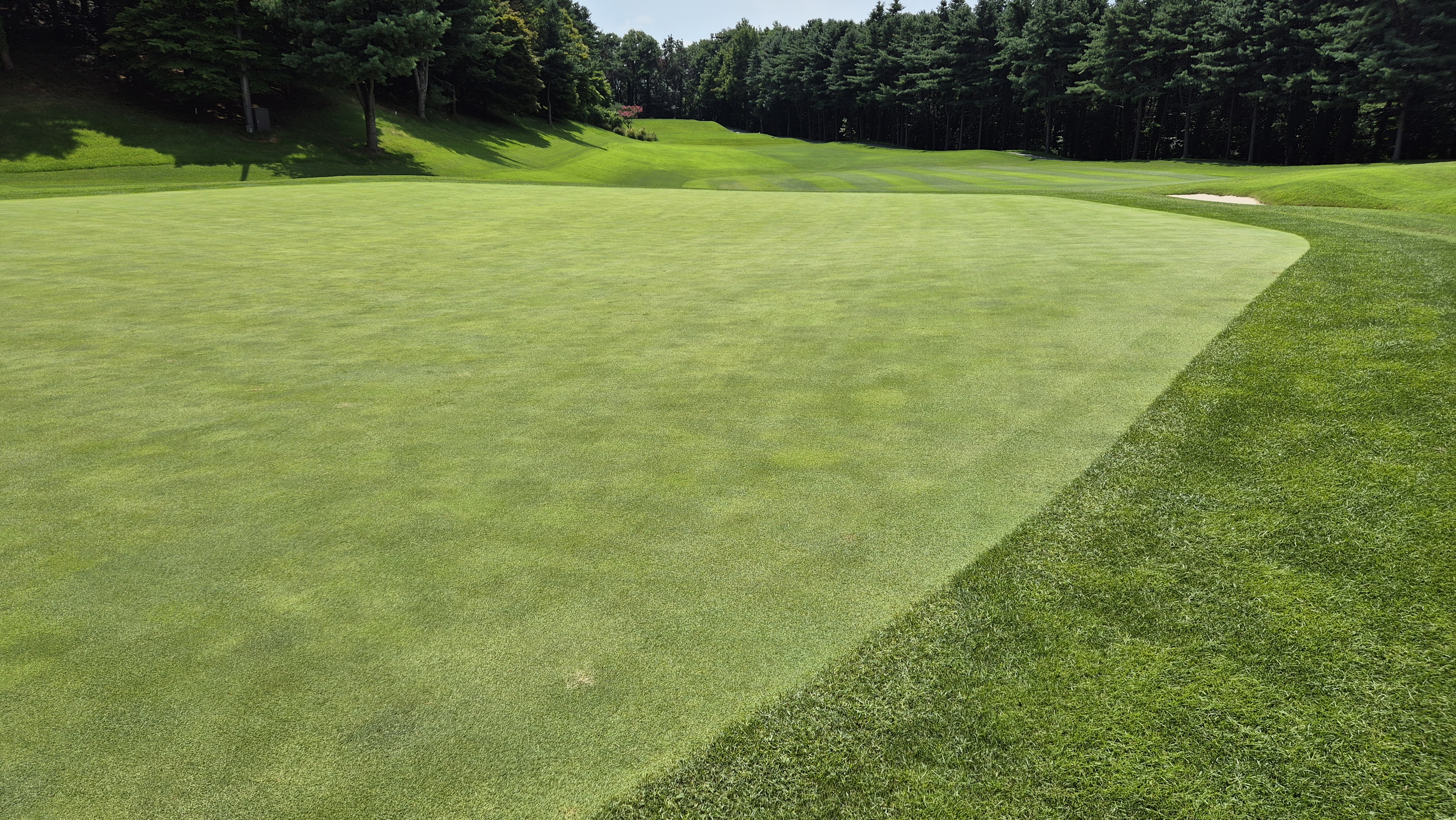 한성cc 오렌지-그린 코스 라운드 후기