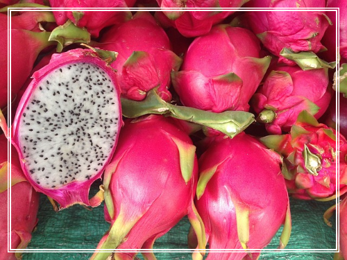 용과 섭취 시 주의사항과 부작용