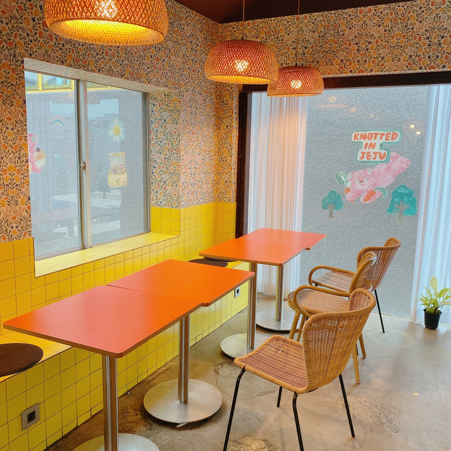 노티드 도넛 제주 애월 핫플레이스 우유크림 도넛 Knotted JEJU