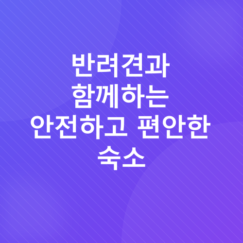 반려견 동반 여행_3