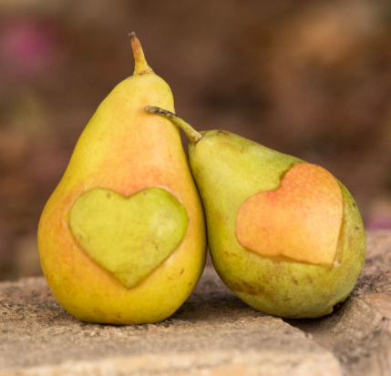 배의 효능 영양성분 부작용