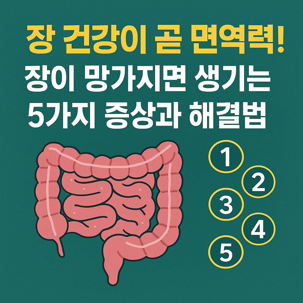장 건강이 곧 면역력｜장이 망가지면 생기는 5가지 증상과 해결법