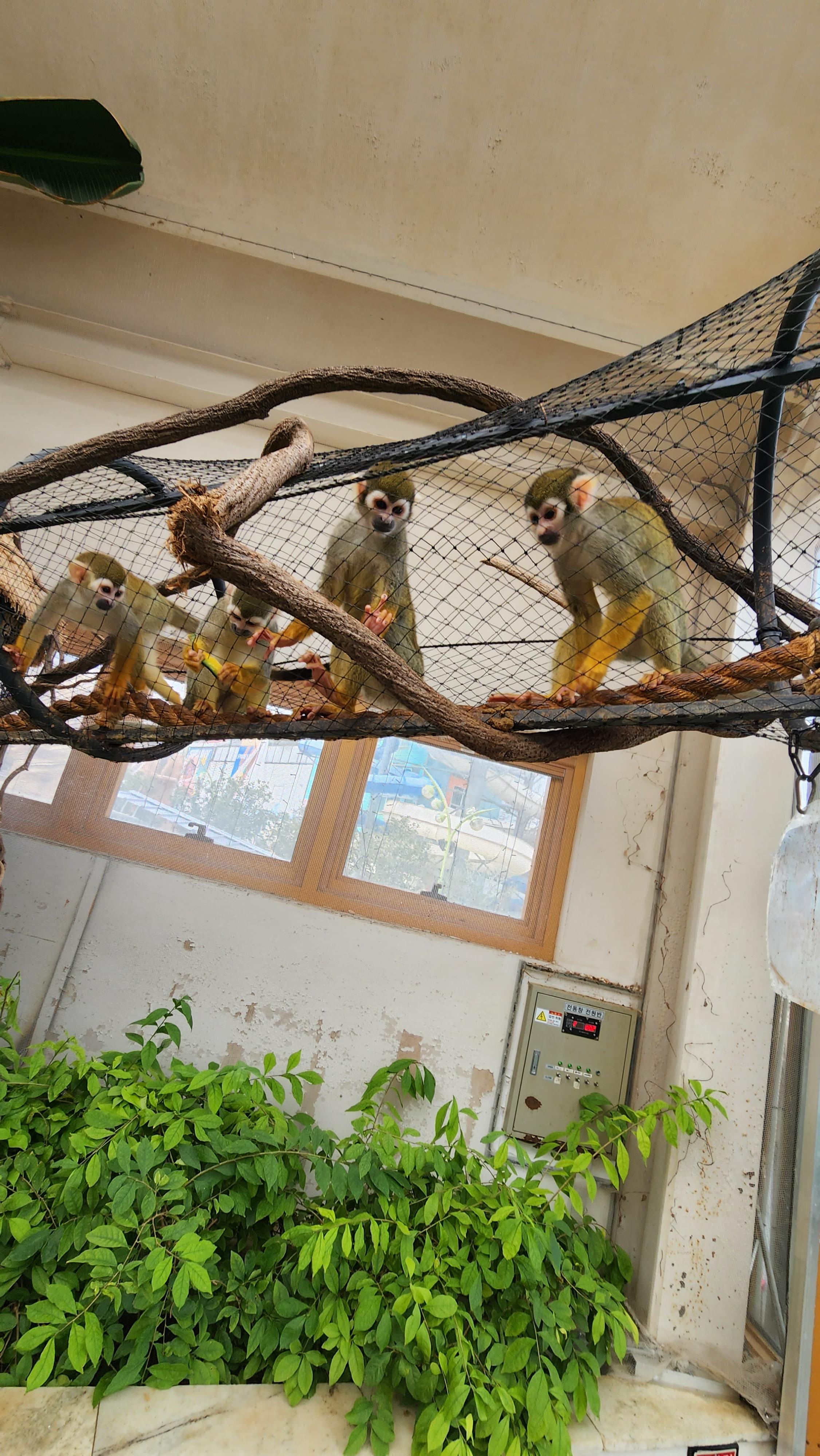 대구-네이처파크