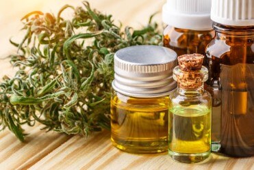 대마종자유 효능&amp;#44; 햄프씨드 식물성 오일로 먹자! 이제는 모두가 건강에 관심이 많다 보니 관리 또한 똑똑하게 합니다. 