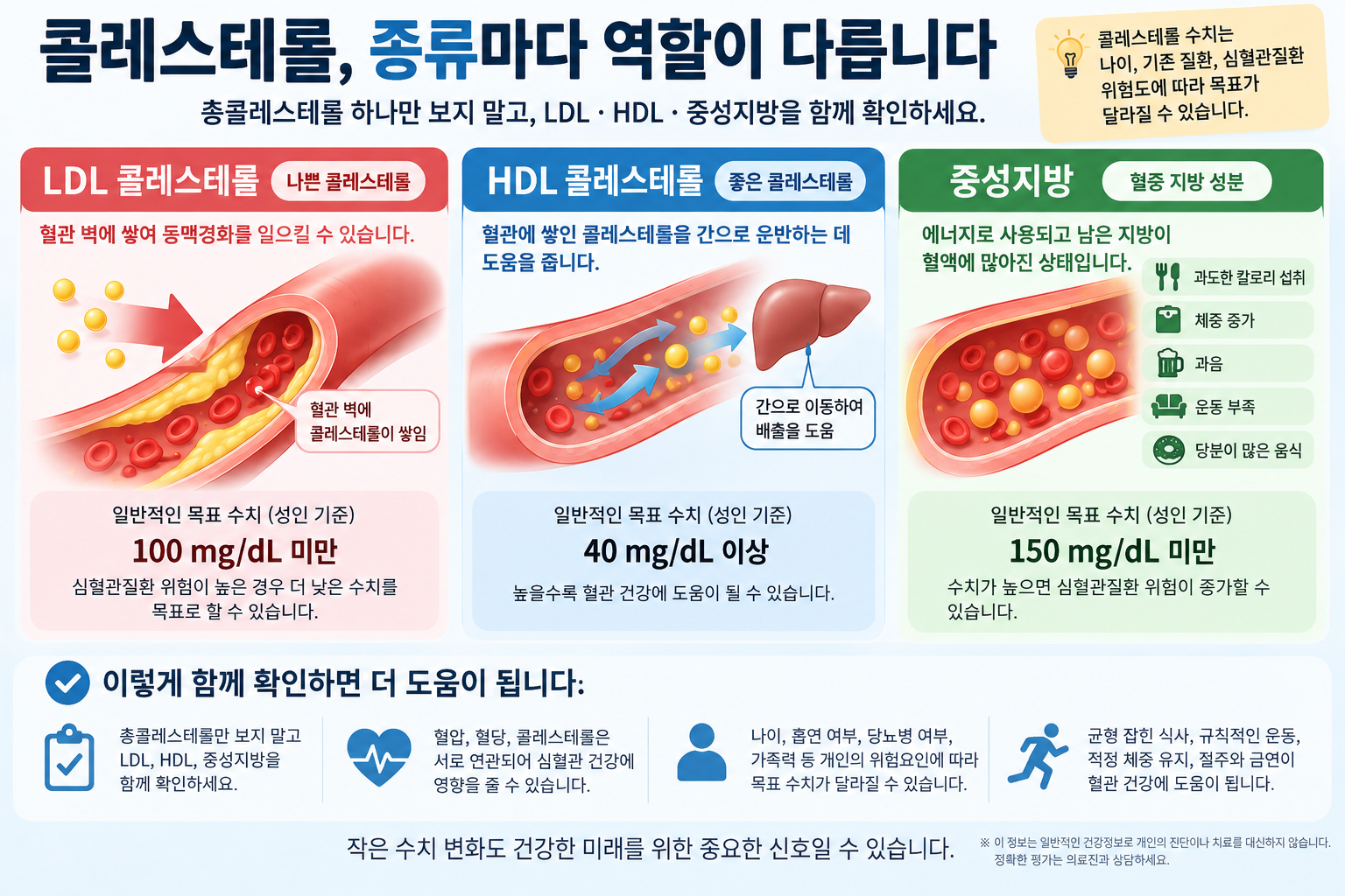 LDL&middot;HDL&middot;중성지방의 역할을 비교한 그림, 수치는 개인 목표와 구분 필요