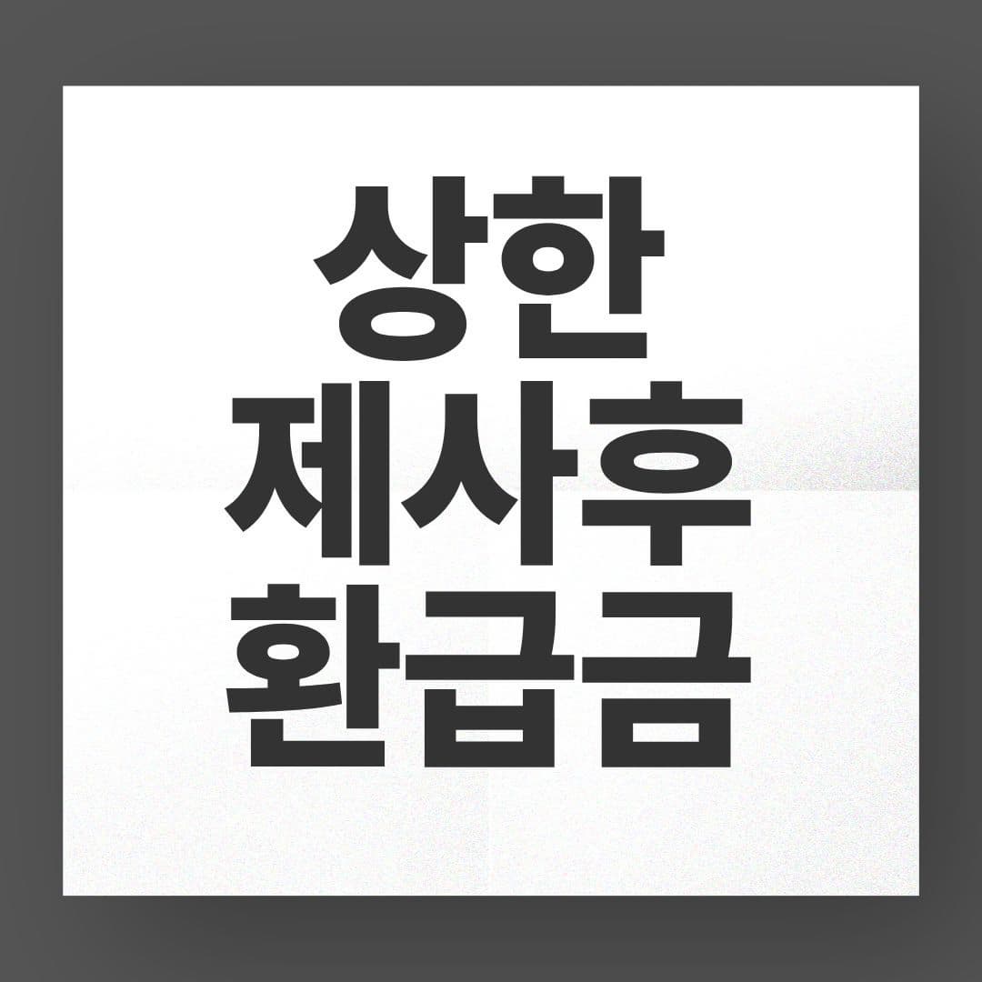 상한제사후환급금 조회 방법, 지금 바로 확인하세요