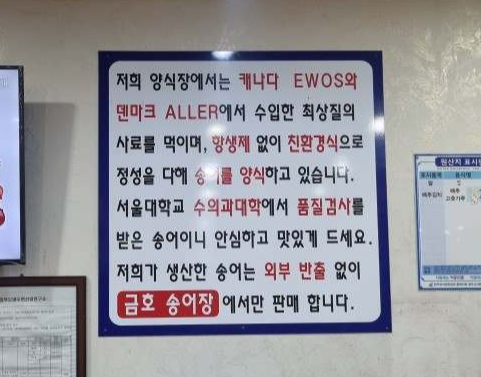 금호송어장 송어회