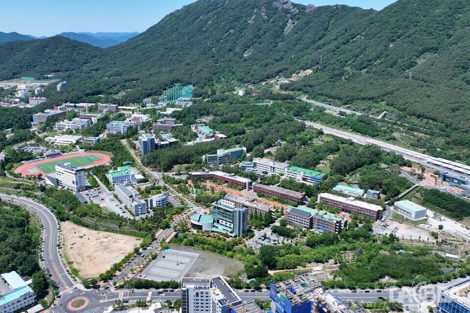 경상남도 대학 총정리 (입학처·대표전화 + 바로가기) 한눈에.