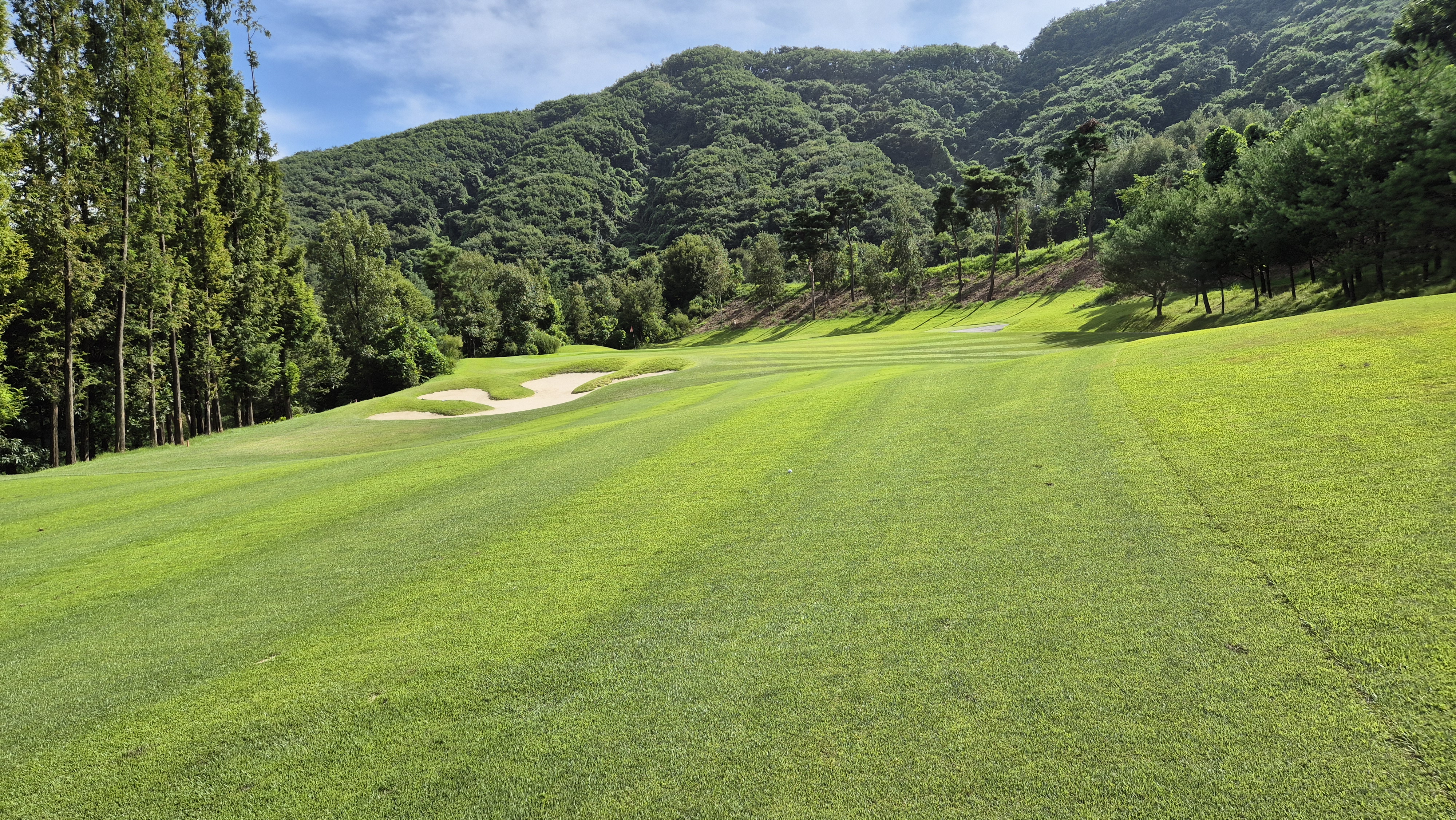 세일cc 들길-산길 코스 사진 및 공략 정보